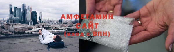 индика Богородицк